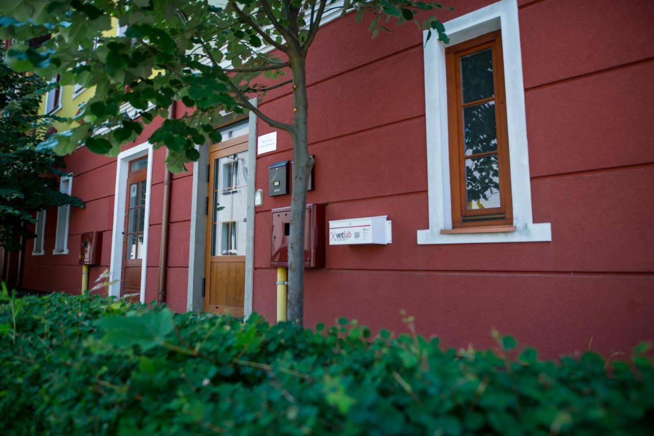 Apartamenty Centrum Biskupiec Biskupiec  Exterior foto